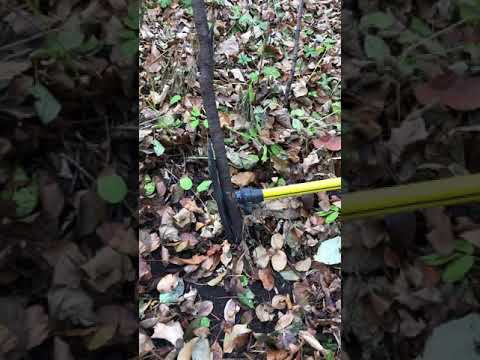 Root Talon Operation Video - YouTube