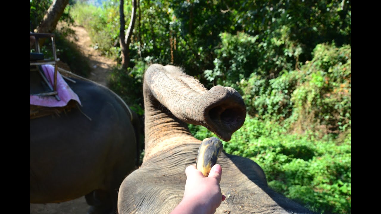 Backpacking Thailand - YouTube