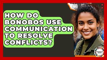 How Do Bonobos Use Communication To Resolve Conflicts? - Anthropology Insights