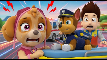 Oh No... Please Wake Up Chase ! -  Paw Patrol Ultimate Rescue | Rainbow 3