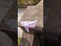PAPER BOAT⛵ MAKING ||#viral #video #ytshorts #shorts #trending #reels #papercrafts