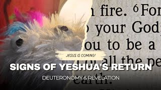 Signs of Yeshua&#39;s Return: Deuteronomy &amp; Revelation