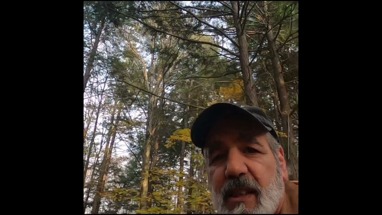 Bet You Never Seen This Before Trapping Oddities RedFox Wildlife Coyotes