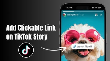 How to Add Links to TikTok Stories (New 2025 Update) 