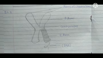 Bridge course (10th class science2)test 1