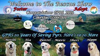 Environmental The Rescue Show Live 8-9-2026 Camera Feed