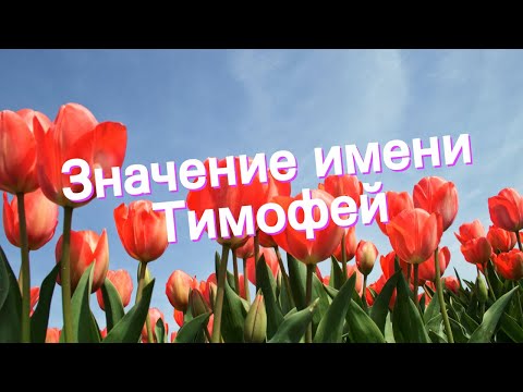 Значение имени Тимофей. Толкование, судьба, характер