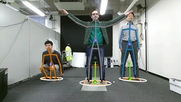 Simultaneous On-line Motion Discrimination and Evaluation of Whole-body Exercise by Synergy Probes