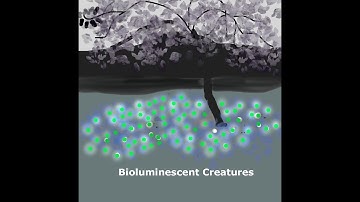 Bioluminescence - Kidz Learn Applications™ #glow-in-the-dark-creatures