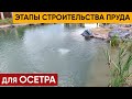 Пруд для Осетра. Этапы Строительства. Прозрачный пруд для Осетра сибирского, Сига и Линя.