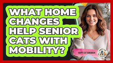 What Home Changes Help Senior Cats With Mobility? - Happy Cat Handbook