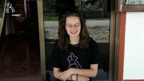 volunteering abroad  during gap year