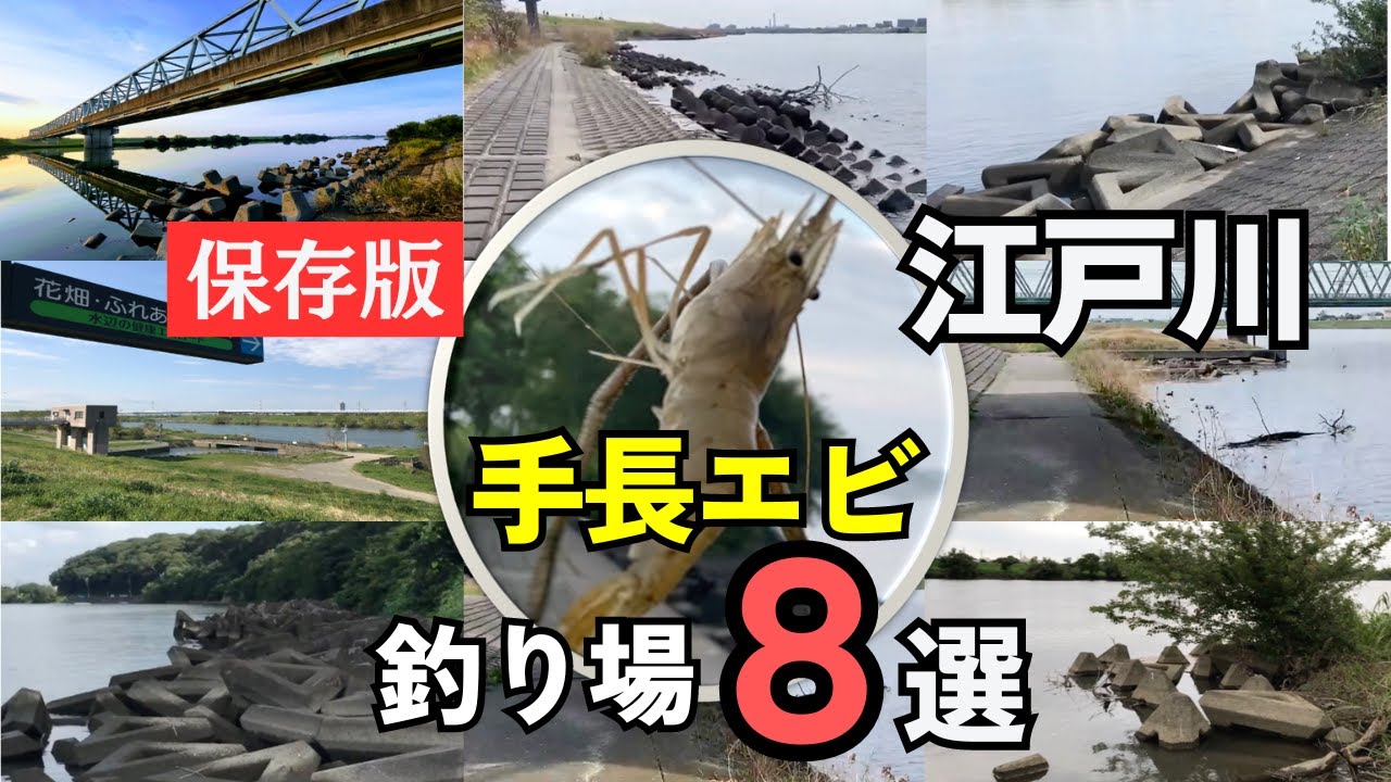 【保存版】江戸川で手長エビが釣れる場所８選｜三郷から市川まで、手長エビが狙えるポイントを一挙紹介！