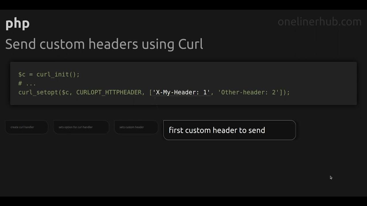 Curl header content type json