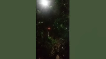 تلاوة معاذ لسورة الصف