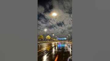 عَيْنًا فِيهَا تُسَمَّىٰ سَلْسَبِيلًا | للقارئ الشيخ محمد اللحيدان #القرآن_الكريم #محمد_اللحيدان