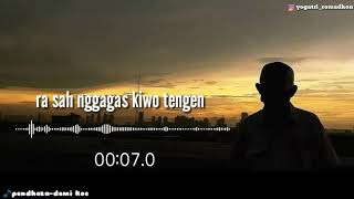Download Lagu Semangat tanpo sambat MP3