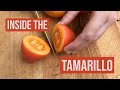 Inside Fierce Fruit Ep 8 | Tamarillo (Tree Tomato)