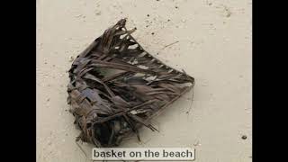 Our Holidays, Pacific Islands Part1 of 5, 1 Nov-10 Dec 2007,featuring Fiji, Western Samoa, Tonga,