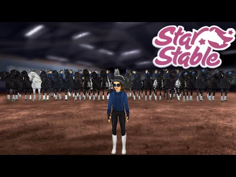 Como dono de uma bem sucedida Dressage Clube SSO