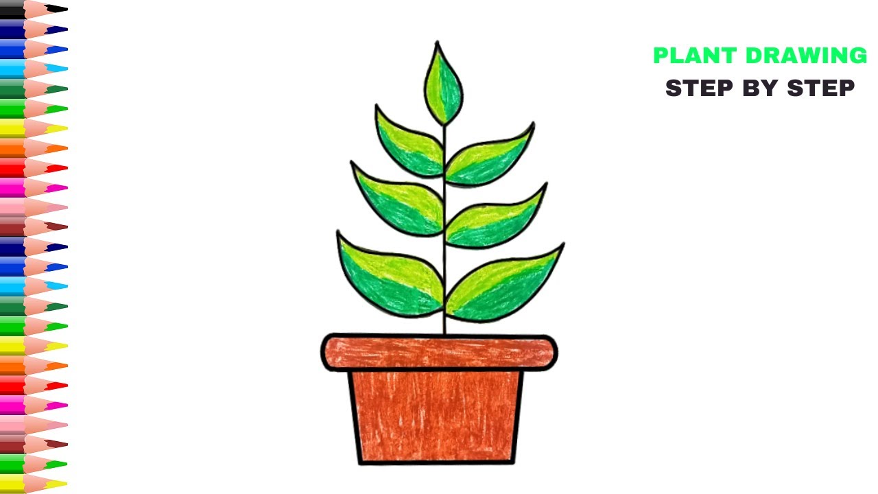 Plant drawing easy plant drawing - Maxresdefault