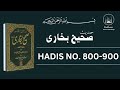 Sahih Bukhari Hadees Number 800 To 900 In Hindi Urdu Translation