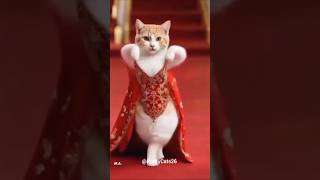 #cutedog #dancevideo #cuteanimals #cat #dog #funnyvideos #dance #shorts #shortfeed