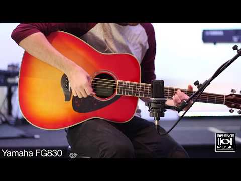 Акустична гітара YAMAHA FG830 (Autumn Burst), видео 1