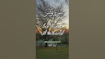 سورة يونس 🌹🌹🌹#Quran #islamicvideo #islamic #islam #islamicstatus #foryou #fyp #fypyoutube
