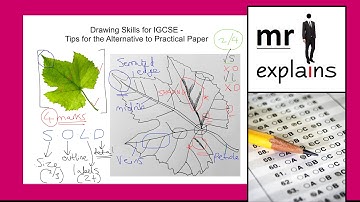 mr i explains: Drawing Skills for IGCSE - Tips for the Alternative to Practical Paper