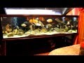 Интерактивный аквариумный туризм №28