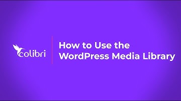 How to Use the WordPress Media Library