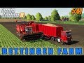 Farming simulator 19 | Bettingen Farm | Timelapse #41 | Harvesting and selling beets