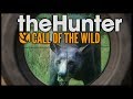 Thehunter call of the wild  multi kills with mystx24 and magic 2