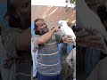 Beautiful white Cockatoo at Lalukhet Sunday Market #parrot #cockatoo