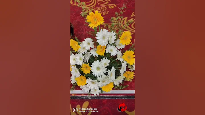 Haldi ceremony | We decor| #reels #instagram #haldi #decoration #norafatehi #haldiceremony #trending