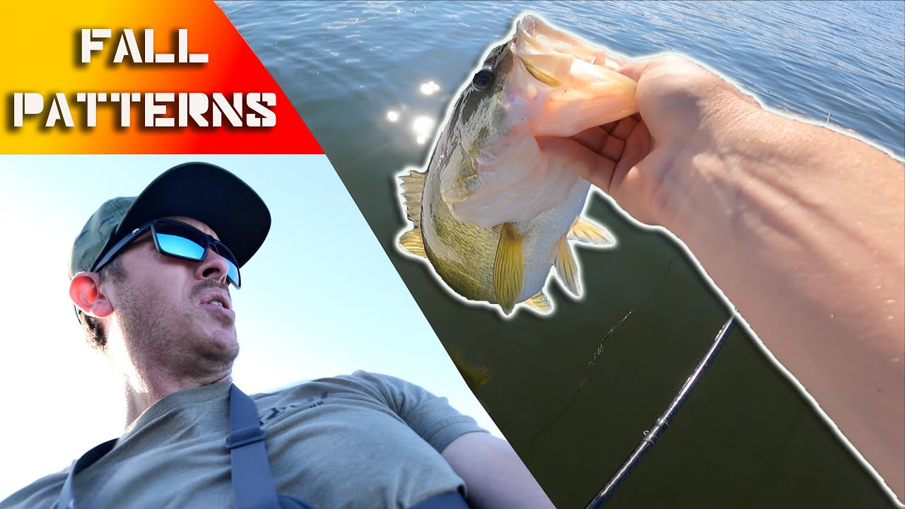 Fall Bass Fishing on Big Sam Schooling Bass Found