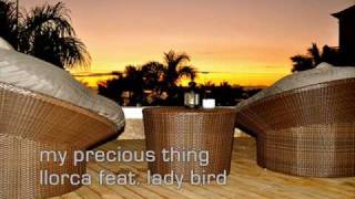 Video thumbnail of "My Precious Thing ~ Llorca feat. Lady Bird"
