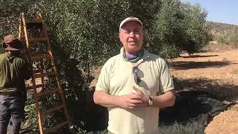 Rabbi Michael Marmur OliveHarvest23 10 10
