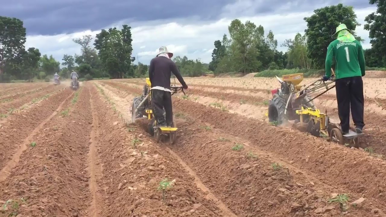 ไม่ง้อยาฆ่าหญ้ารถกำจัดวัชพืช เพื่อโลกสีเขียว(ยังกะรถแข่ง) : จอมยุทธ์ขี้เมาเกษตรจักรกล