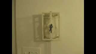 Working Paper Clock