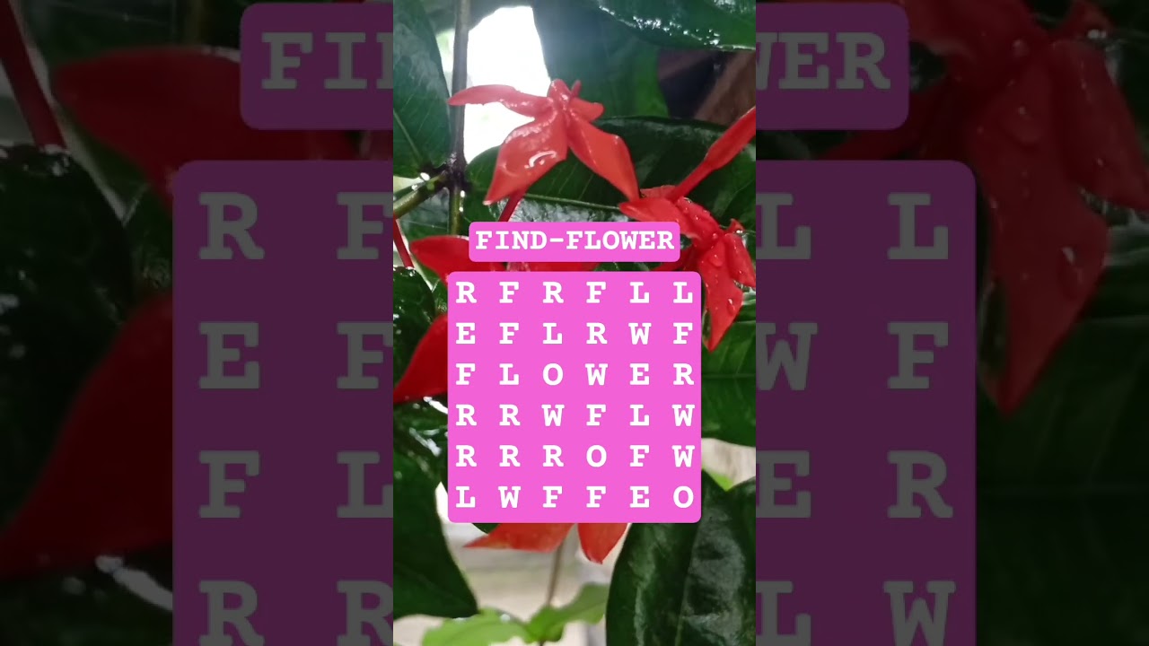 FIND-FLOWER 