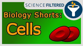 Video 43 - Diffusion: The Concentration Gradient