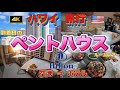 【ハワイ到着日のペントハウスルームツアー】空港からホテルまでの様子を横揺れと江戸走りで楽しくご紹介致します 【ハワイ】【ハワイ旅行】【ハワイ旅行最新2026】【ヒルトンハワイ】横揺れ|江戸走り