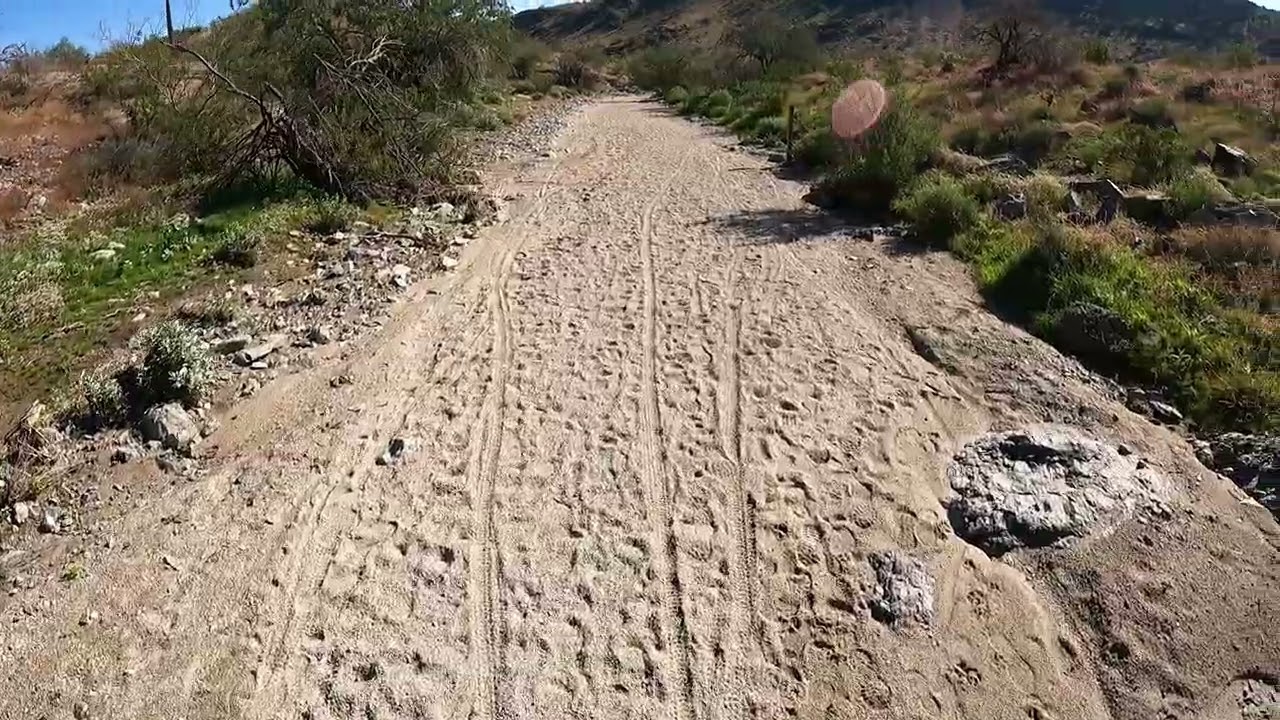 Phoenix South Mountain Park - Green Lush Trail (Pima Wash) Part #1