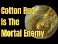 Cotton Bud Is The Mortal Enemy