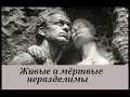 Киновеевское кладбище. Часть 1.