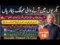 Bakriyon Mein Aane Wali Muhlik Bimariyan ⚠️ | Huzaifa Ahmed Ch Goat 🐐