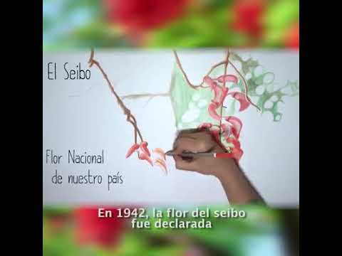 Locución Pilar SS/ Pastillita para redes- Plantas nativas: El Seibo