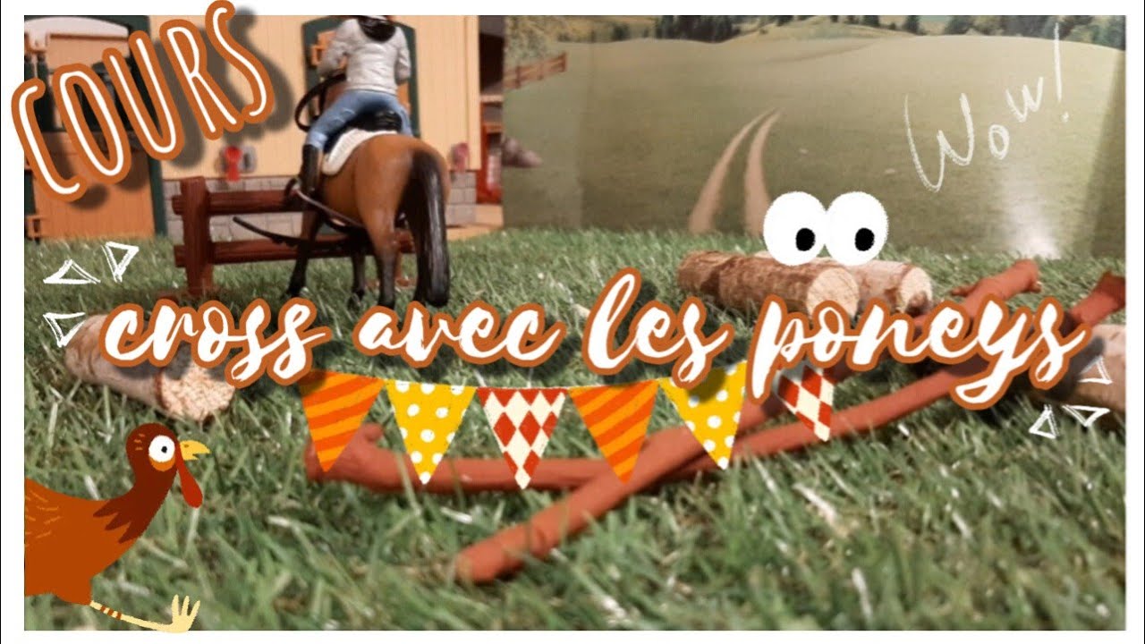 cours schleich avec les poneys !